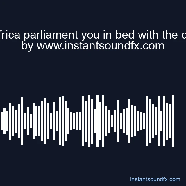 africa parliament you in bed with the da image