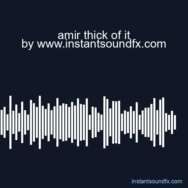 amir thick of it image