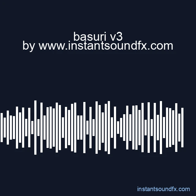 basuri v3 image