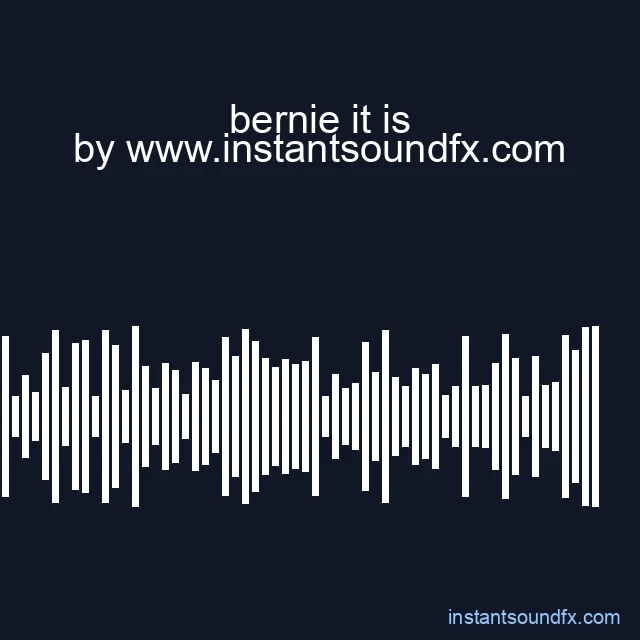 bernie it is image