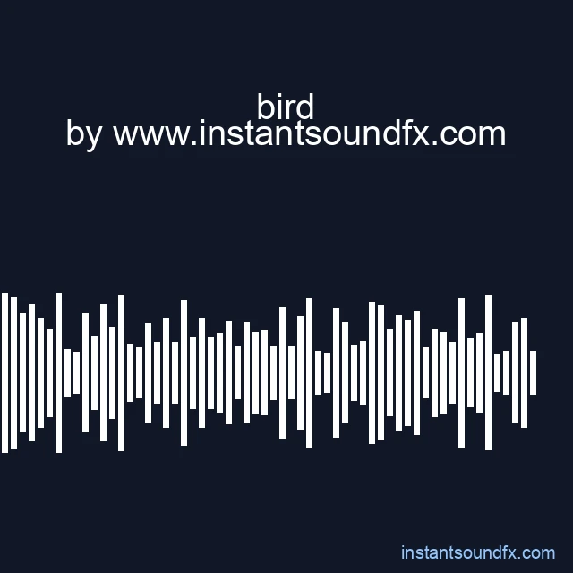 bird image