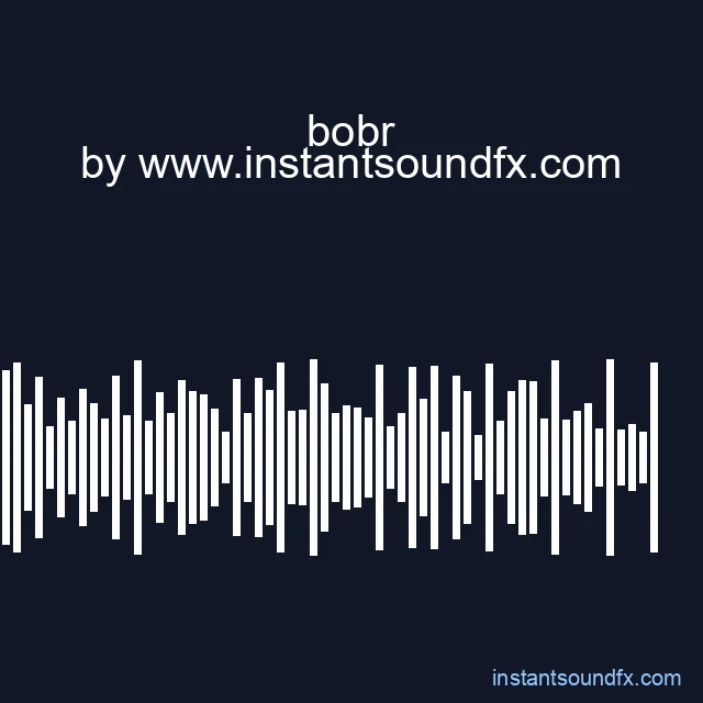 bobr image