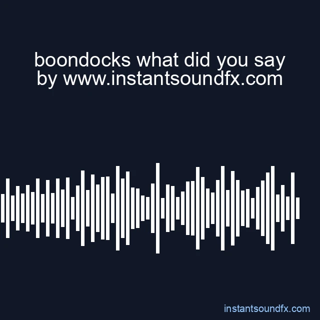 boondocks what did you say image