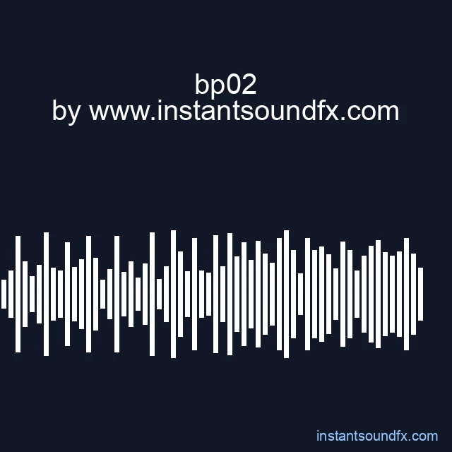 bp02 image