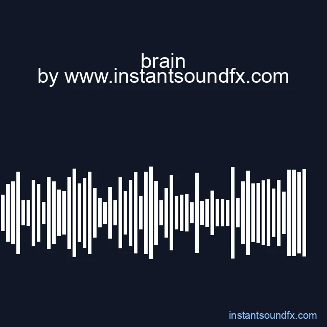brain image