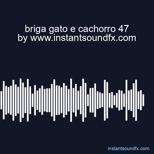 briga gato e cachorro 47 image