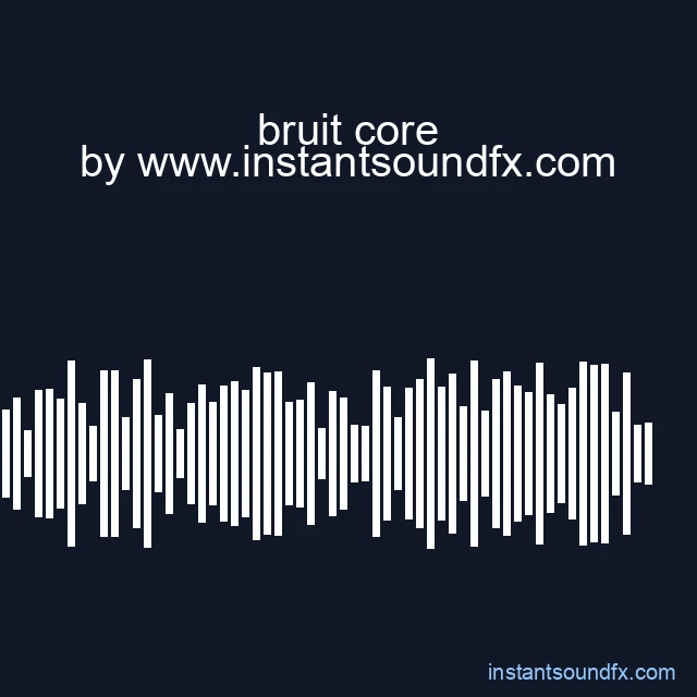 bruit core image