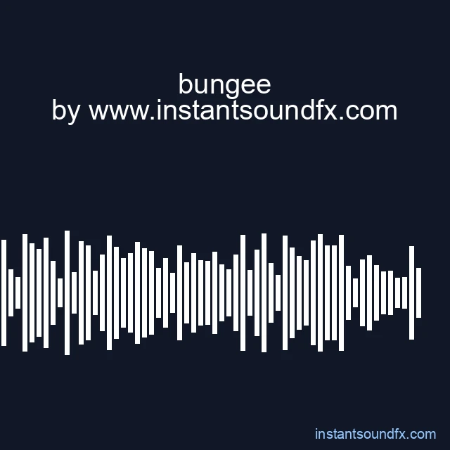 bungee image