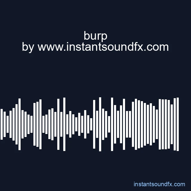 burp image