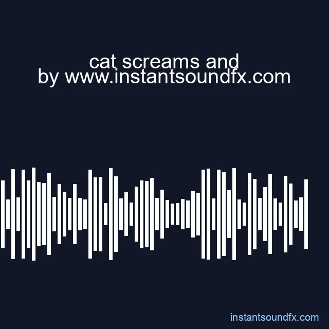 cat screams and image
