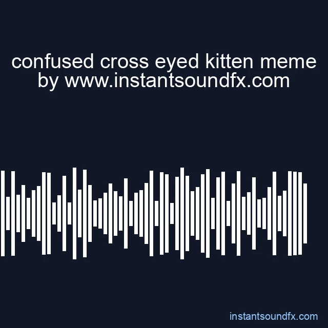 confused cross eyed kitten meme image