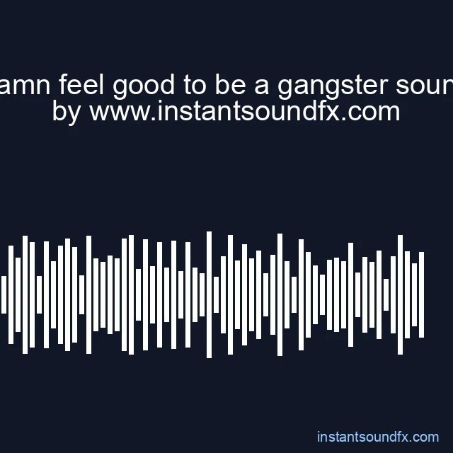 damn feel good to be a gangster sound image