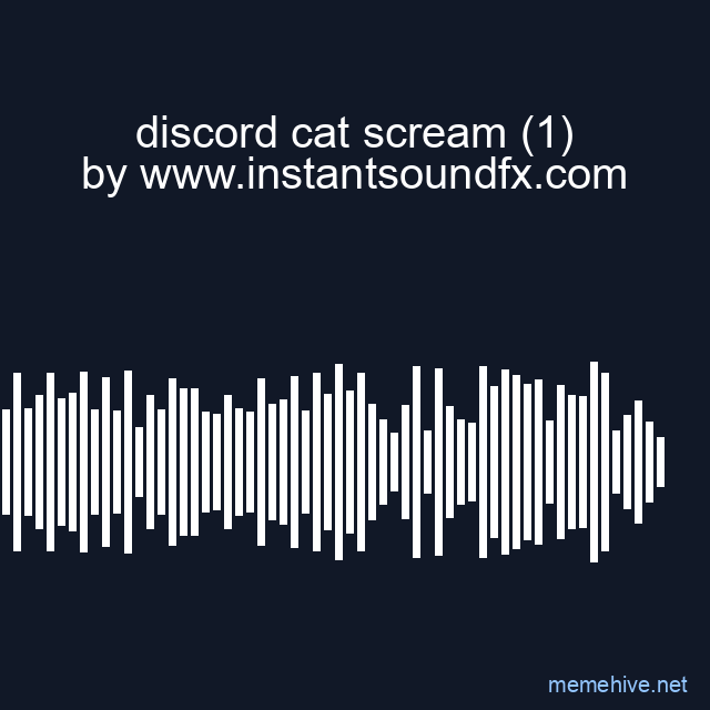 discord cat scream (1) image