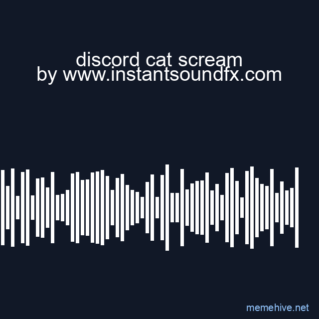discord cat scream image