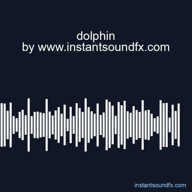 dolphin image