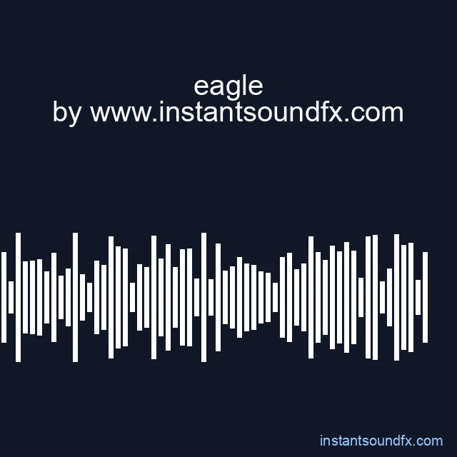 eagle image