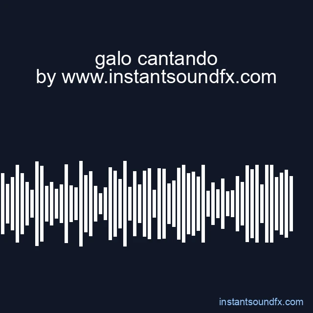 galo cantando image