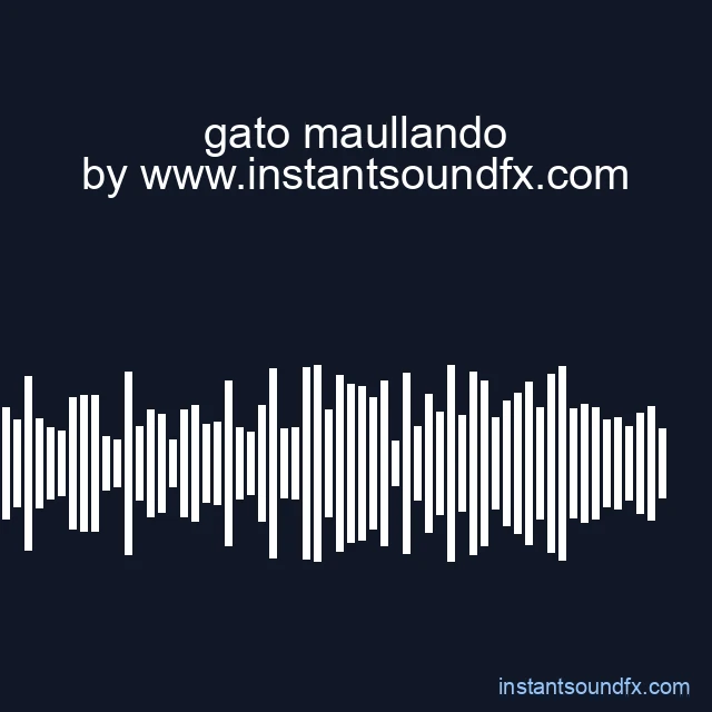 gato maullando image