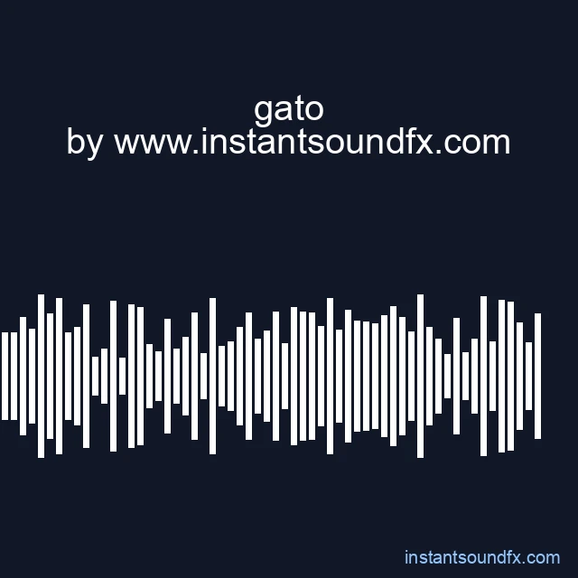 gato image