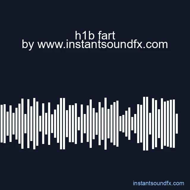 h1b fart image