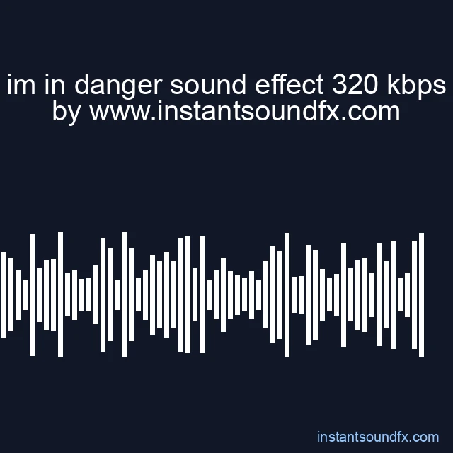 im in danger sound effect 320 kbps image
