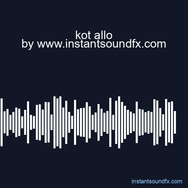kot allo image