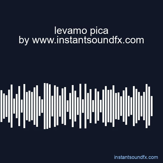 levamo pica image