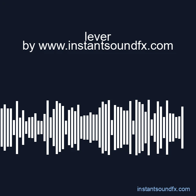 lever image