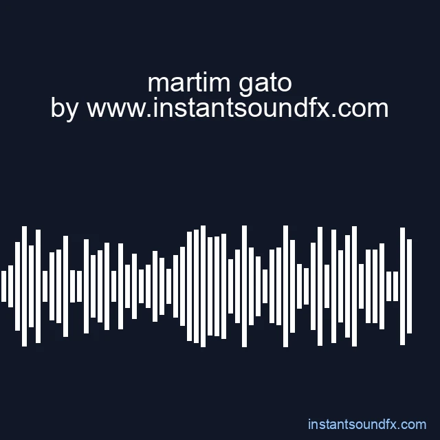 martim gato image