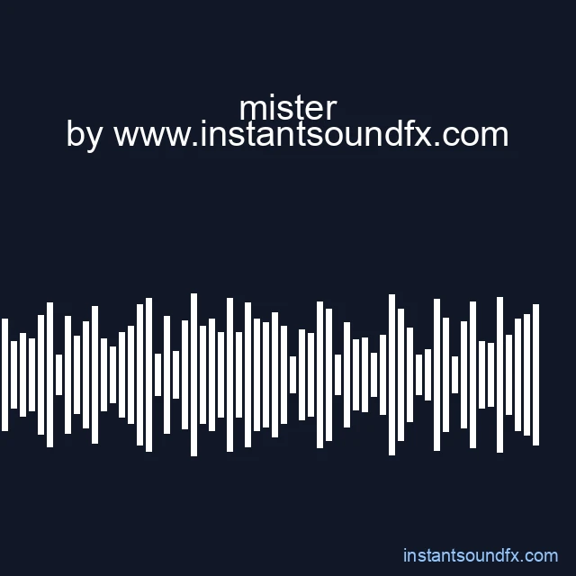 mister image