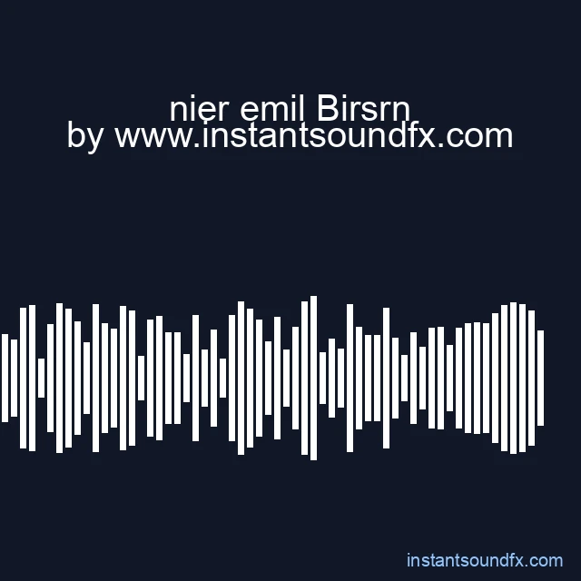 nier emil Birsrn image