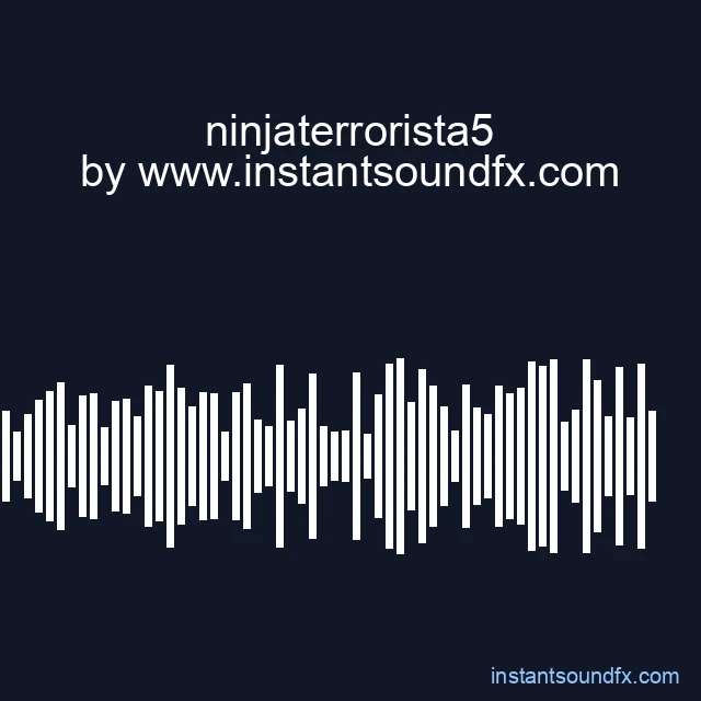 ninjaterrorista5 image