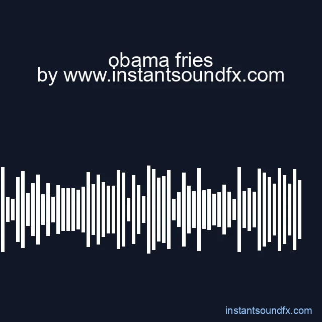obama fries image