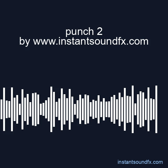 punch 2 image