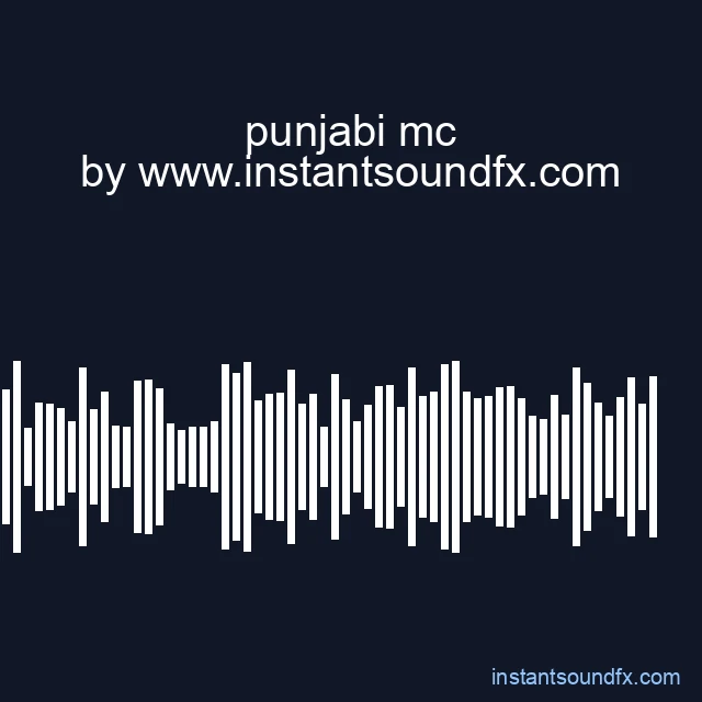 punjabi mc image