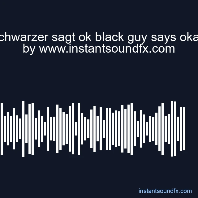schwarzer sagt ok black guy says okay image