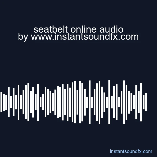seatbelt online audio image