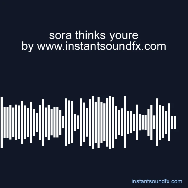 sora thinks youre image