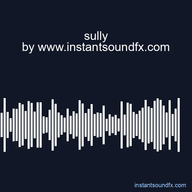 sully image
