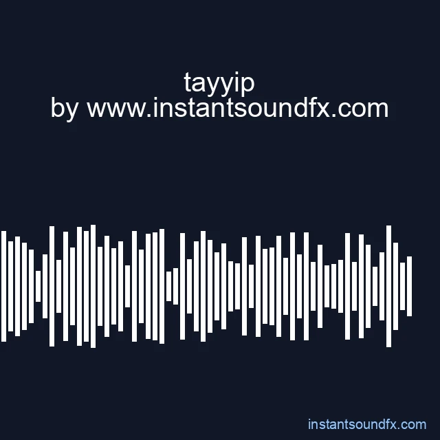 tayyip image