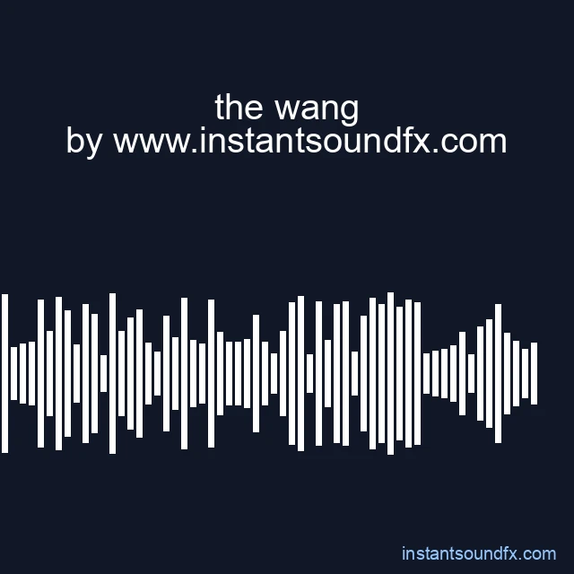 the wang image