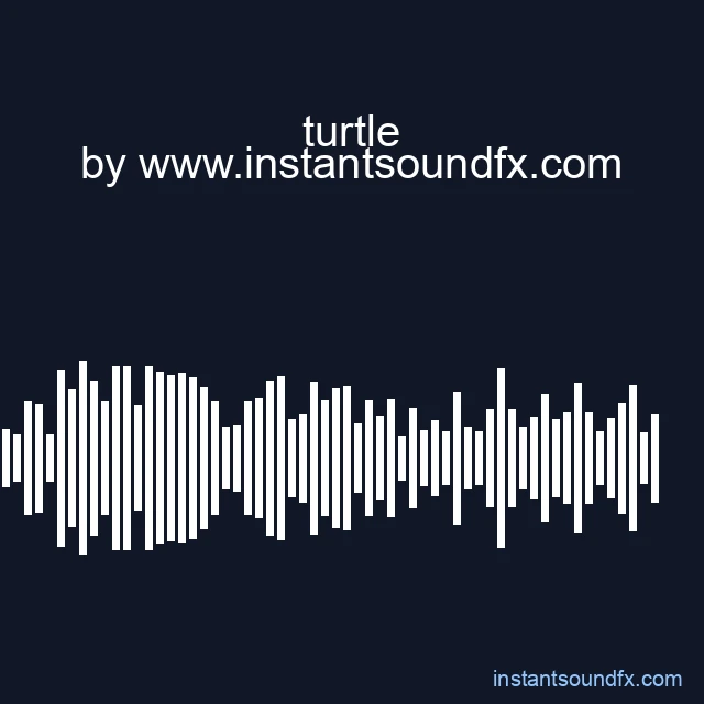 turtle image