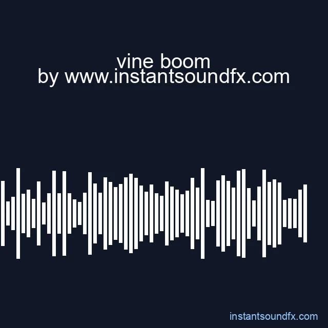 vine boom image