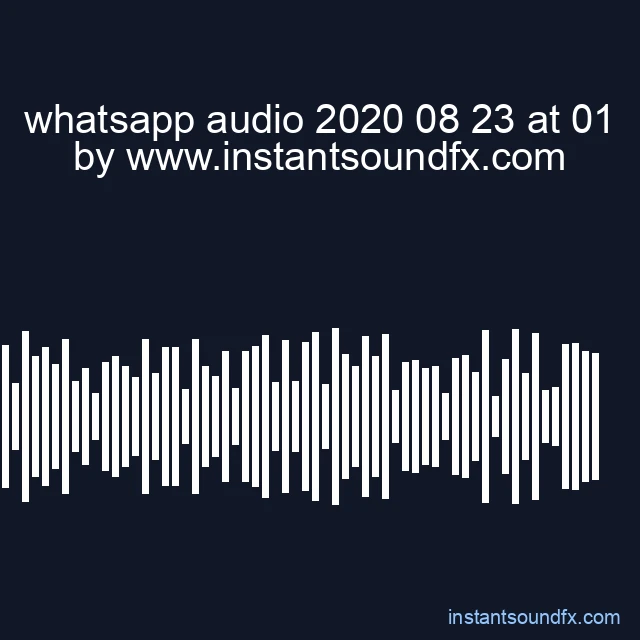 whatsapp audio 2020 08 23 at 01 image