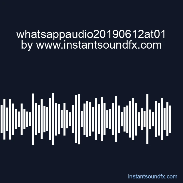 whatsappaudio20190612at01 image