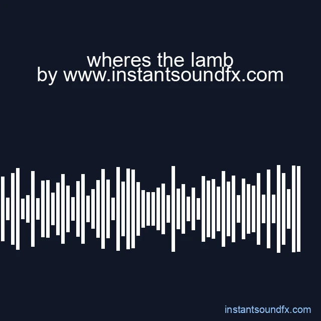 wheres the lamb image