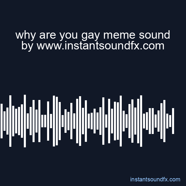 why are you gay meme sound image