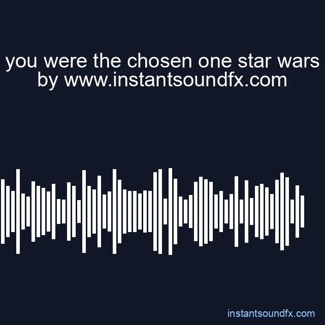 you were the chosen one star wars image